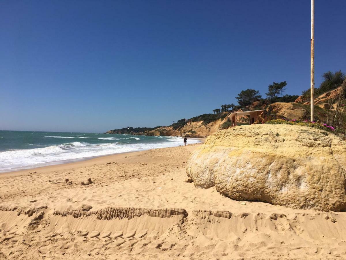 Albufeira Monte Balaia Διαμέρισμα Εξωτερικό φωτογραφία
